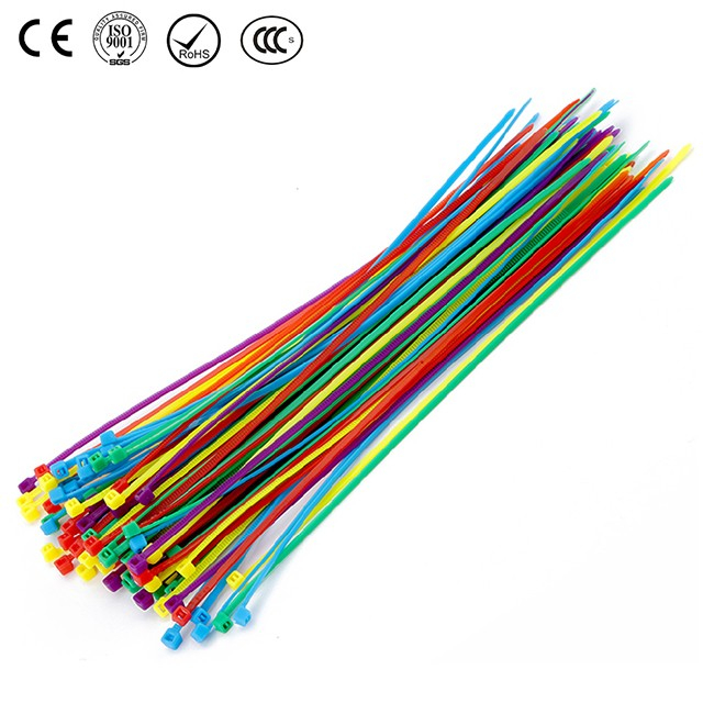 AD-5*100 Nylon Cable Tie