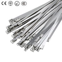 AD-G 4.6*150 Stainless Cable Tie