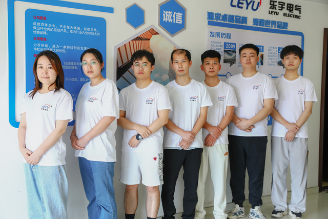 Leyu