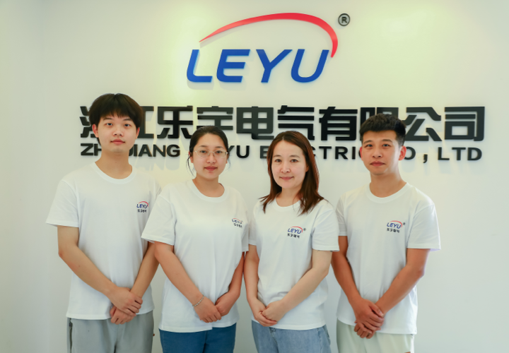Zhejiang Leyu Electric Co., Ltd.