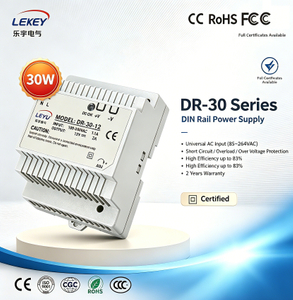 DR-30 30-Watt Single Output Industrial DIN Rail Power Supply for Automation