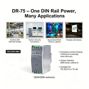 DR-75 Series 75W 12V 24V 48V Industrial DIN Rail Power Supply AC to DC Converter for PLC Control Panel Factory Automation